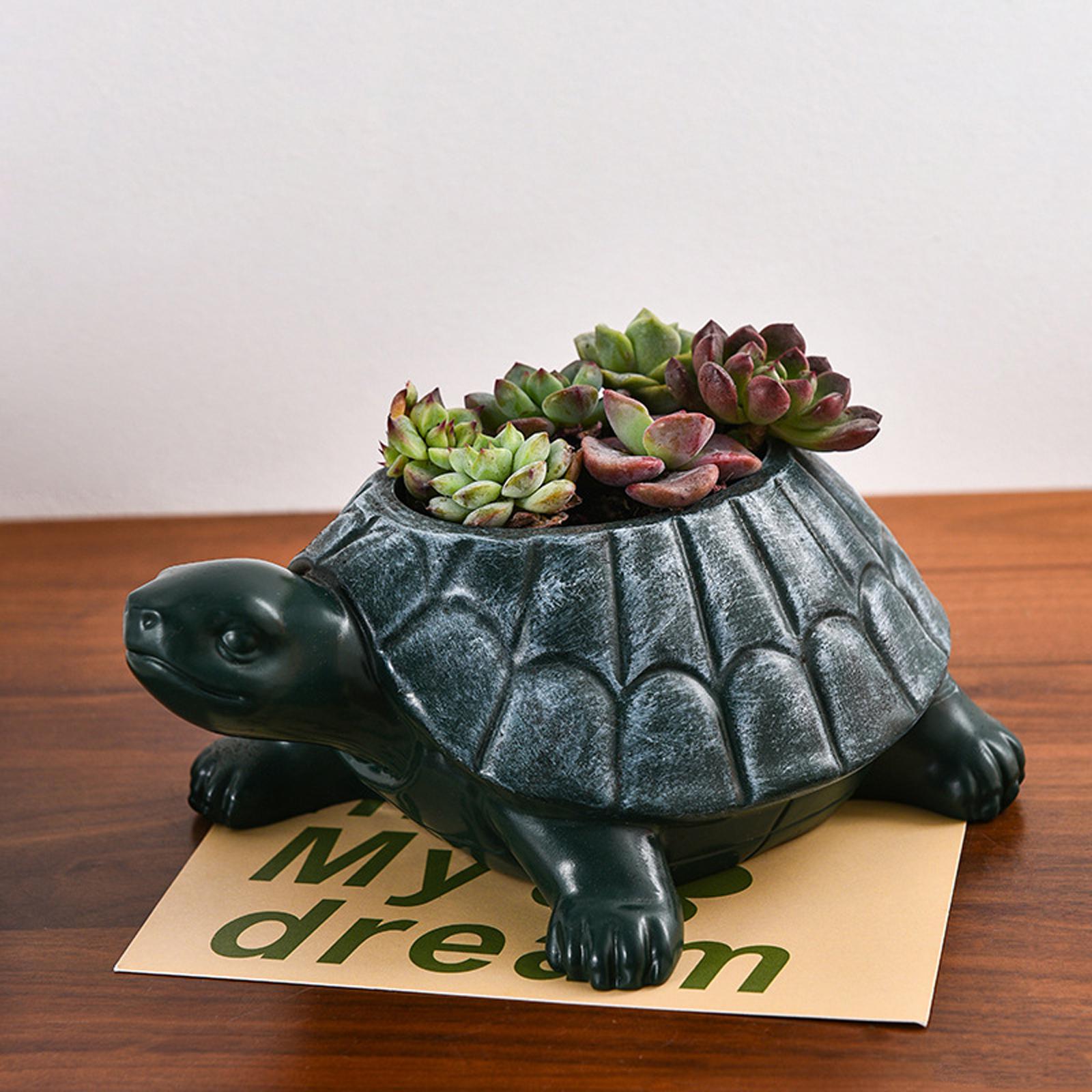 Turtle Planter Flower Pot Coll - đánh giá và giá Bonsai Garden And Cafe