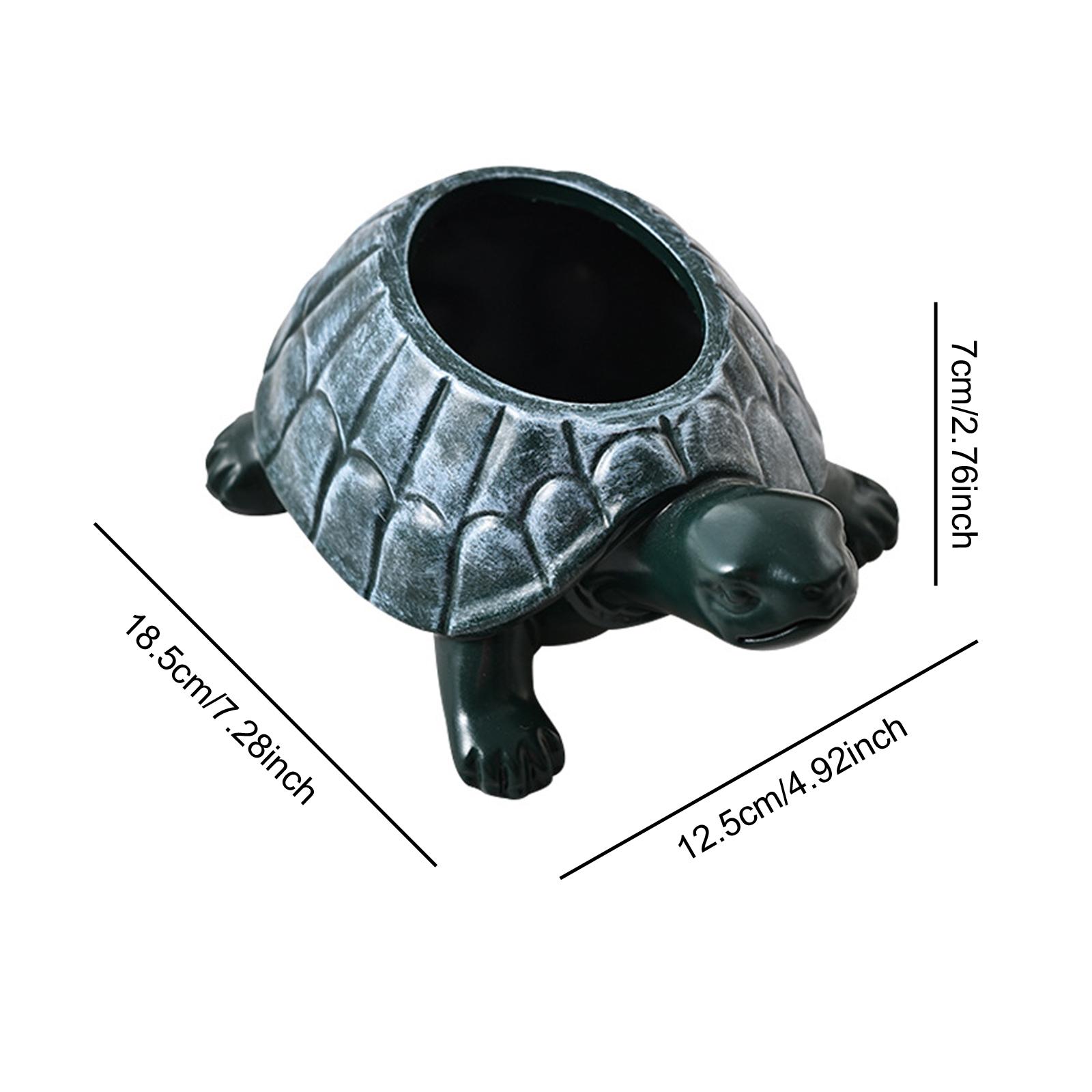 Turtle Planter Flower Pot Coll - đánh giá và giá Bonsai Garden And Cafe