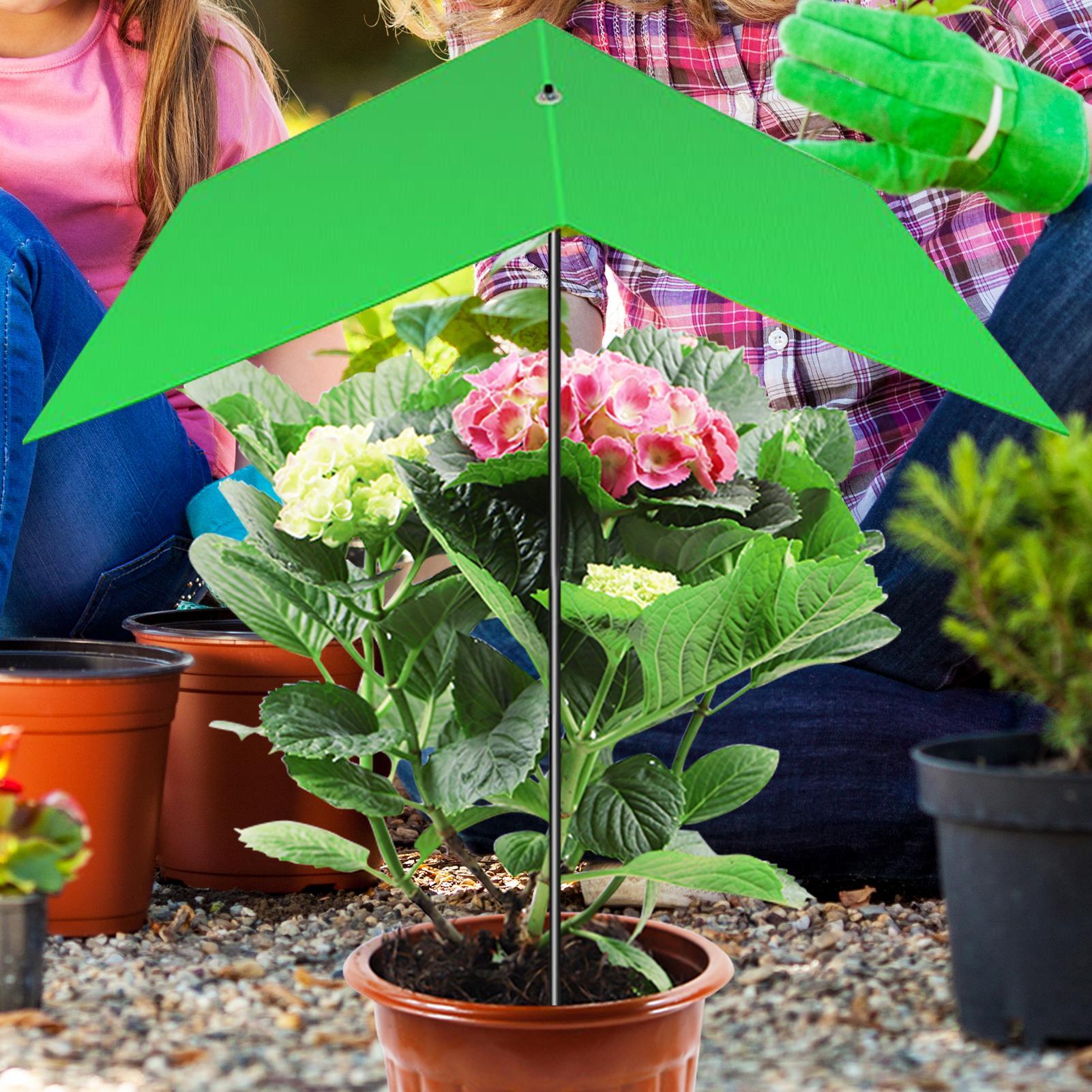 Plant Umbrella Anti-UV Heat Re - đánh giá và giá Bonsai Garden And Cafe