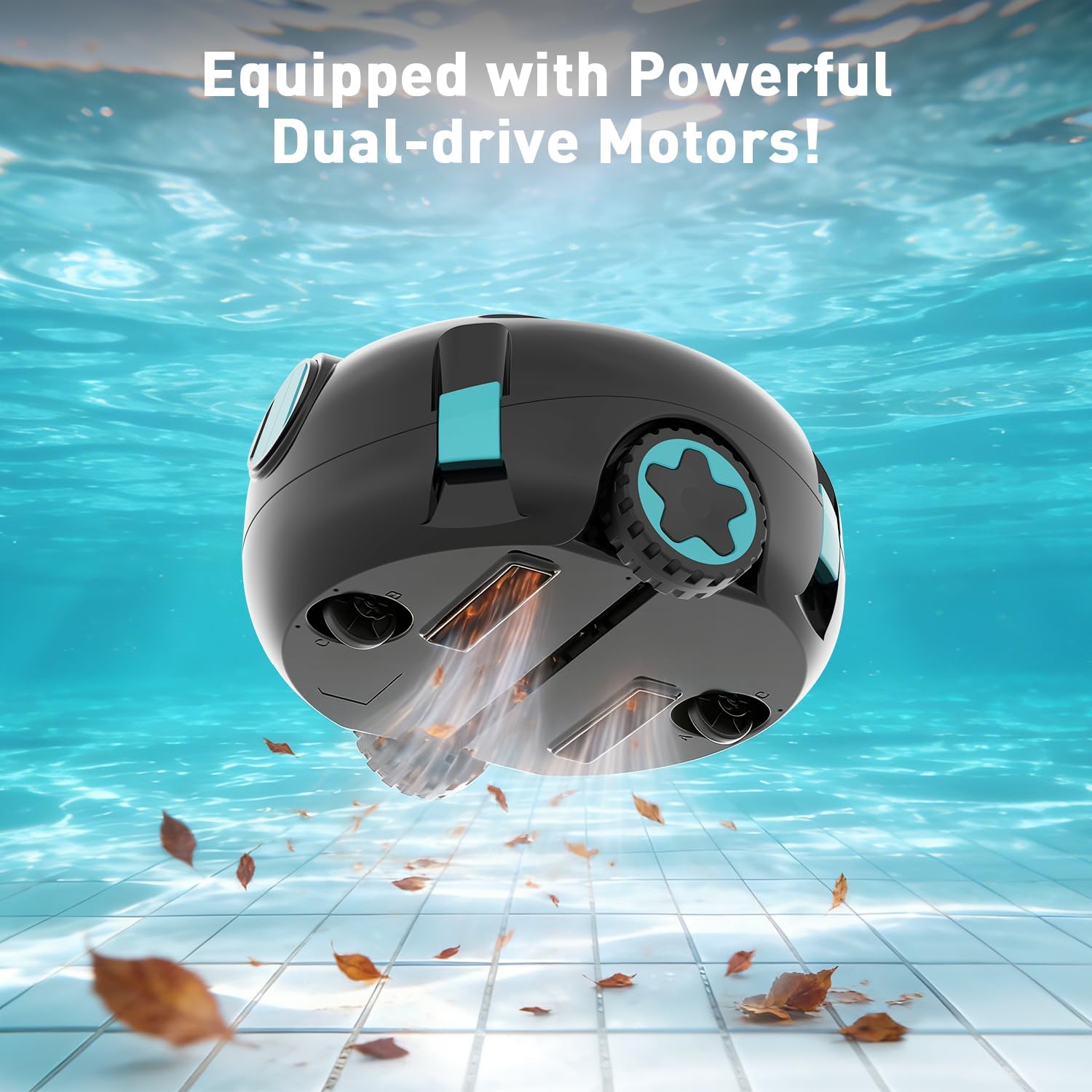 HIXZAP Pool Cleaner Offers a R - đánh giá và giá Bonsai Rock Garden