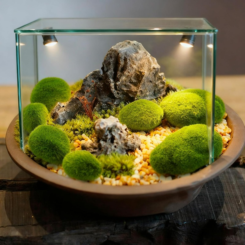 50/5PCS Artificial Foam Moss R - đánh giá và giá Bonsai Rock Garden