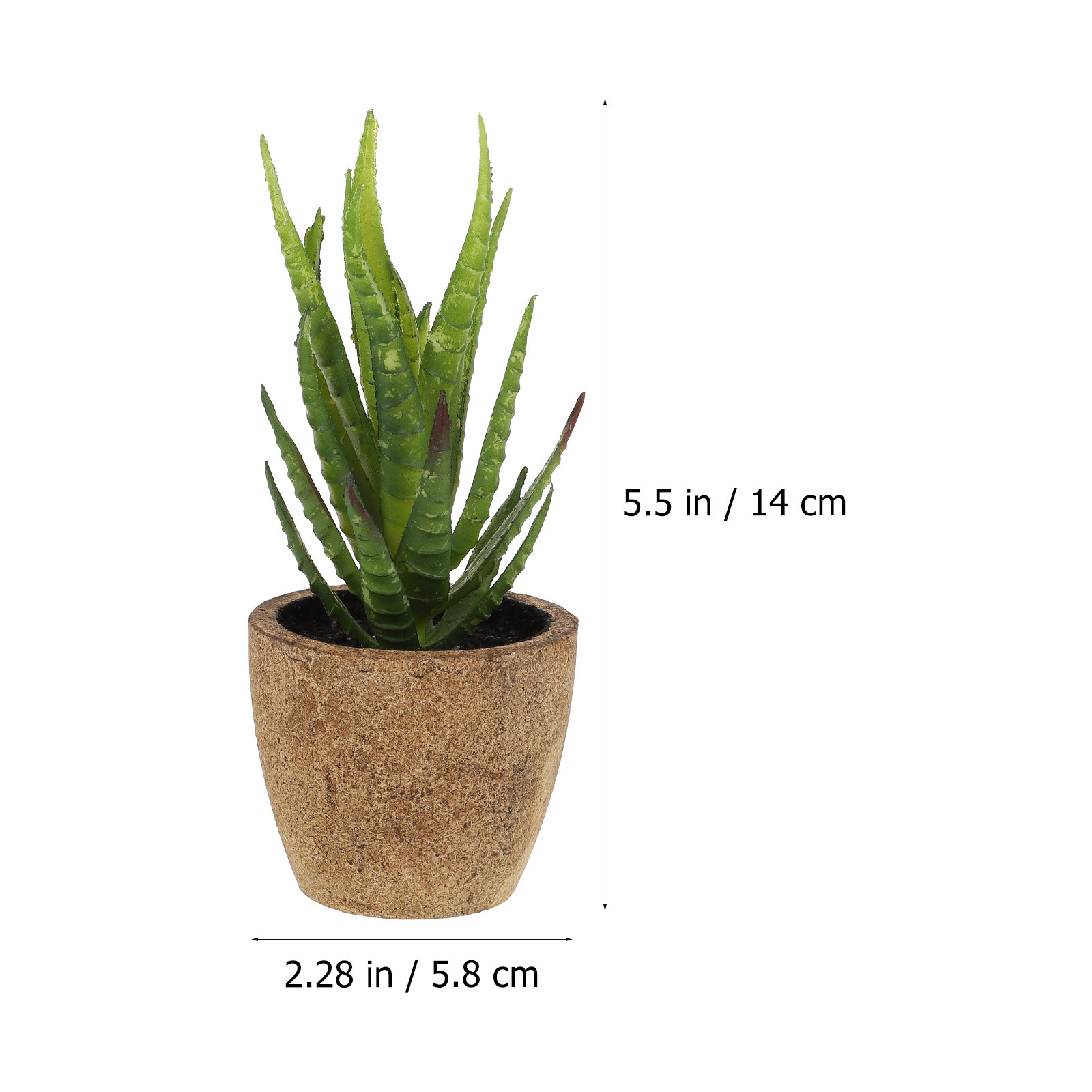 4Pcs Simulation Succulent Bons - đánh giá và giá Bonsai Garden And Cafe