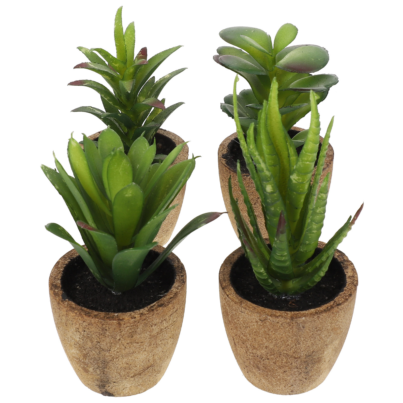 4Pcs Simulation Succulent Bons - đánh giá và giá Bonsai Garden And Cafe